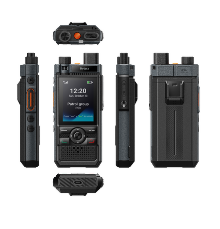 diagram indicating highlights of P50